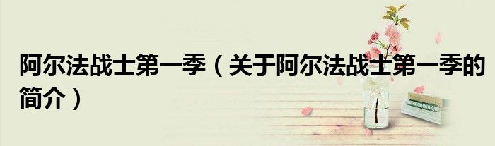 阿爾法戰士第一季（關于阿爾法戰士第一季的簡介）