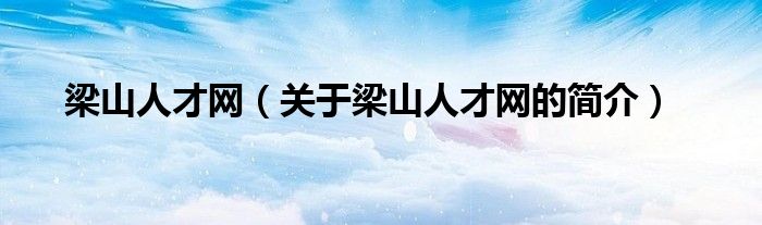 梁山人才網（關于梁山人才網的簡介）