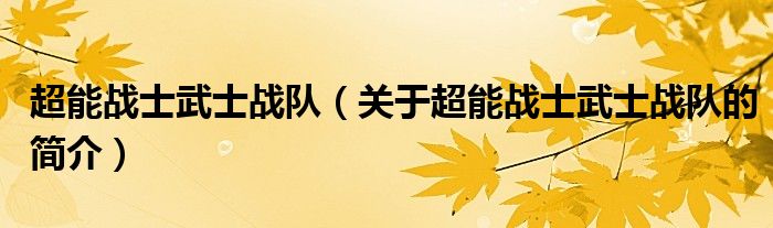 超能戰士武士戰隊（關于超能戰士武士戰隊的簡介）