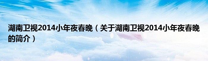 湖南衛視2014小年夜春晚（關于湖南衛視2014小年夜春晚的簡介）
