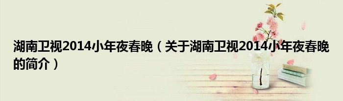 湖南衛視2014小年夜春晚（關于湖南衛視2014小年夜春晚的簡介）