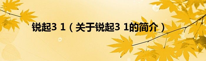 銳起3 1（關于銳起3 1的簡介）