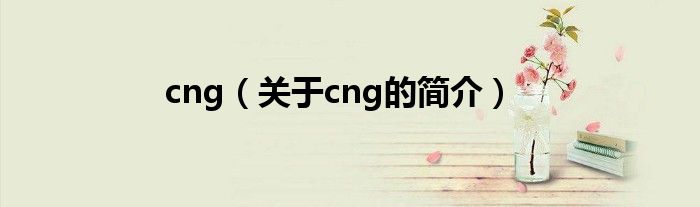 cng（關于cng的簡介）