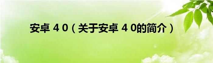 安卓 4 0（關于安卓 4 0的簡介）