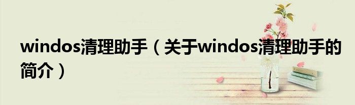 windos清理助手（關于windos清理助手的簡介）