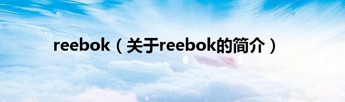 reebok（關(guān)于reebok的簡(jiǎn)介）