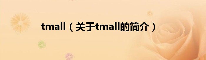 tmall（關于tmall的簡介）