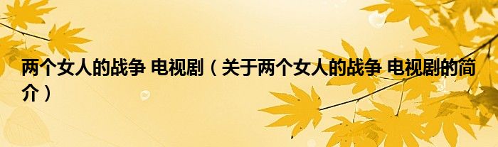 兩個女人的戰爭 電視劇（關于兩個女人的戰爭 電視劇的簡介）