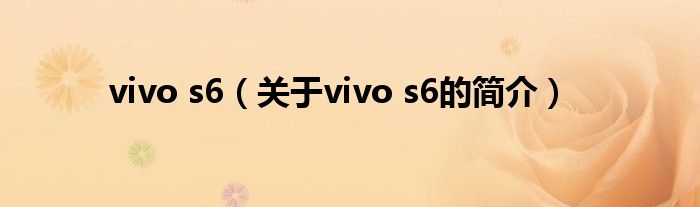 vivo s6（關于vivo s6的簡介）