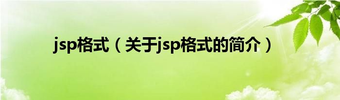 jsp格式（關于jsp格式的簡介）