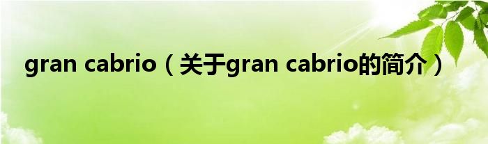 gran cabrio（關于gran cabrio的簡介）