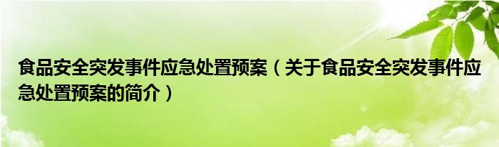 食品安全突發事件應急處置預案（關于食品安全突發事件應急處置預案的簡介）