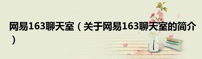 網易163聊天室（關于網易163聊天室的簡介）