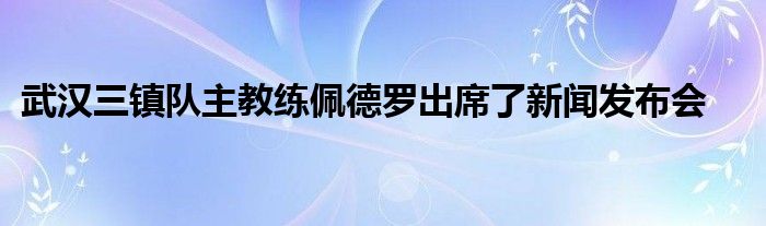 武漢三鎮隊主教練佩德羅出席了新聞發布會