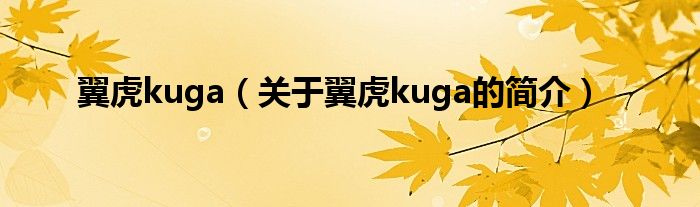 翼虎kuga（關于翼虎kuga的簡介）