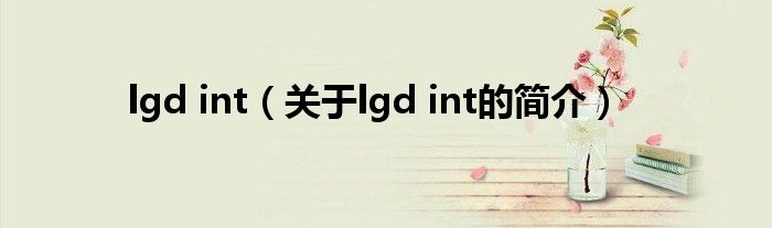 lgd int（關于lgd int的簡介）