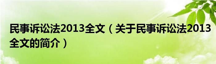 民事訴訟法2013全文（關于民事訴訟法2013全文的簡介）