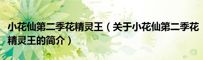 小花仙第二季花精靈王（關于小花仙第二季花精靈王的簡介）