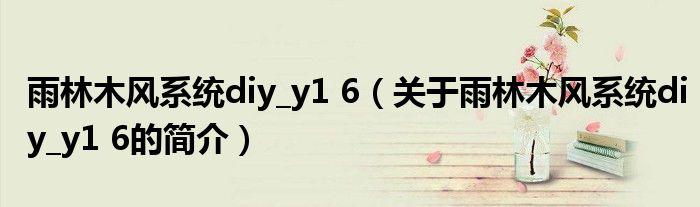 雨林木風系統diy_y1 6（關于雨林木風系統diy_y1 6的簡介）