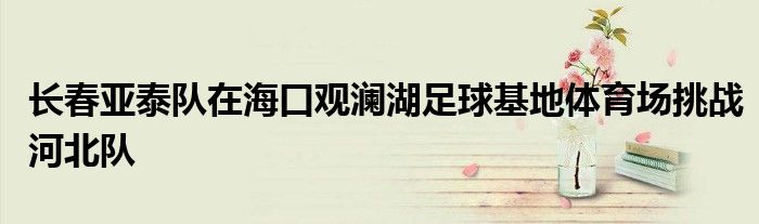 長春亞泰隊在海口觀瀾湖足球基地體育場挑戰河北隊