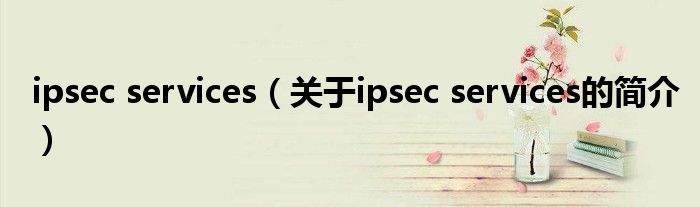 ipsec services（關于ipsec services的簡介）