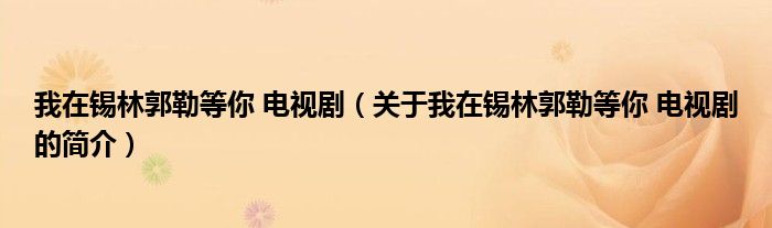 我在錫林郭勒等你 電視劇（關(guān)于我在錫林郭勒等你 電視劇的簡介）