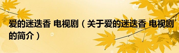 愛的迷迭香 電視劇（關(guān)于愛的迷迭香 電視劇的簡介）