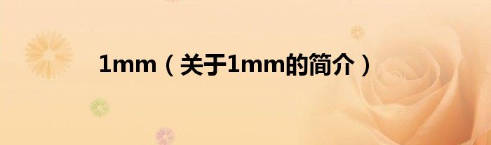 1mm（關于1mm的簡介）