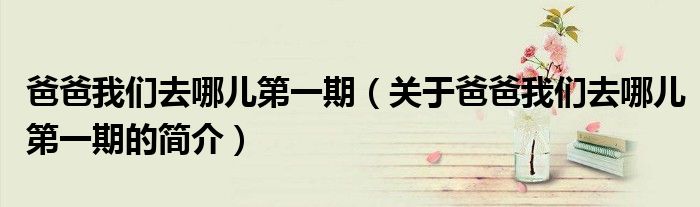 爸爸我們去哪兒第一期（關于爸爸我們去哪兒第一期的簡介）