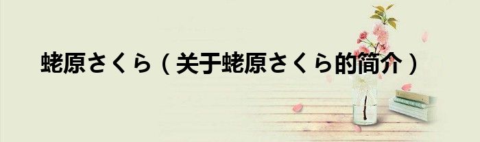蛯原さくら（關(guān)于蛯原さくら的簡(jiǎn)介）