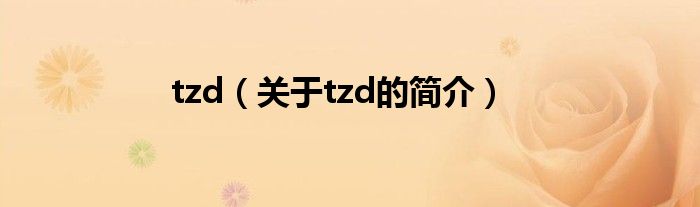 tzd（關于tzd的簡介）