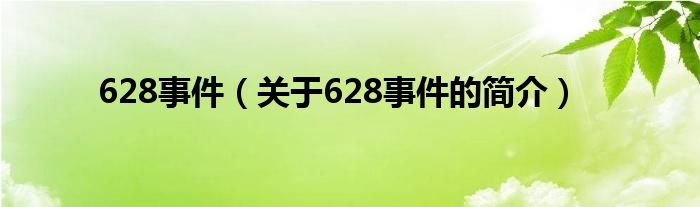 628事件（關于628事件的簡介）