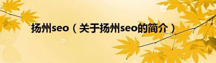 揚州seo（關于揚州seo的簡介）