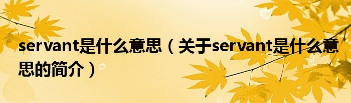 servant是什么意思（關(guān)于servant是什么意思的簡介）