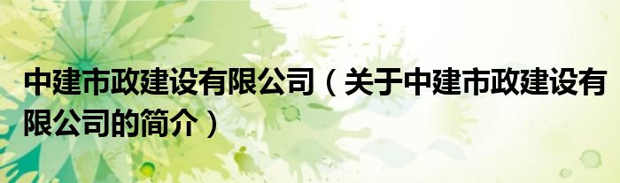 中建市政建設有限公司（關于中建市政建設有限公司的簡介）