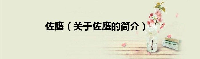 佐鷹（關于佐鷹的簡介）