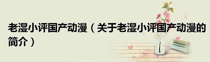 老濕小評國產動漫（關于老濕小評國產動漫的簡介）