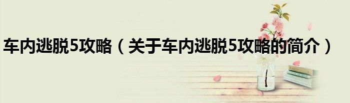 車內逃脫5攻略（關于車內逃脫5攻略的簡介）