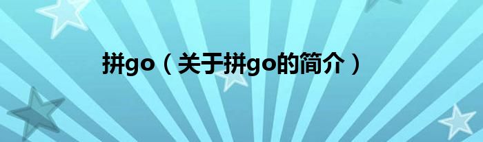 拼go（關于拼go的簡介）