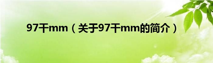 97干mm（關于97干mm的簡介）