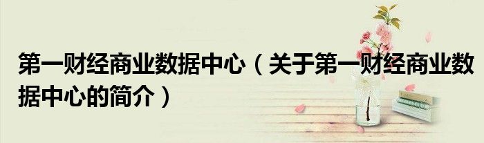 第一財經商業數據中心（關于第一財經商業數據中心的簡介）
