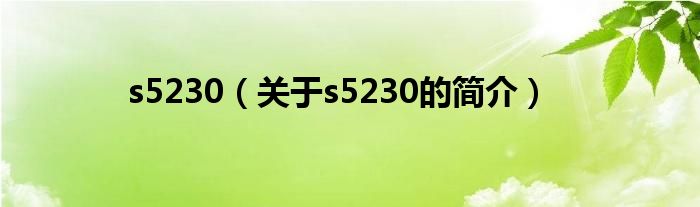 s5230（關于s5230的簡介）