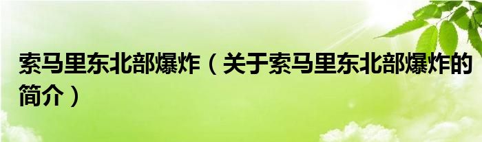 索馬里東北部爆炸（關(guān)于索馬里東北部爆炸的簡(jiǎn)介）