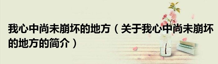 我心中尚未崩壞的地方（關于我心中尚未崩壞的地方的簡介）