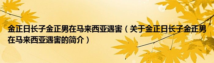 金正日長子金正男在馬來西亞遇害（關于金正日長子金正男在馬來西亞遇害的簡介）