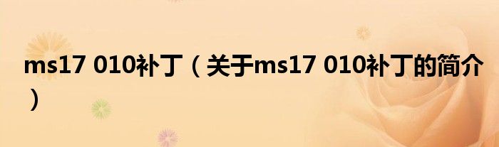 ms17 010補(bǔ)丁（關(guān)于ms17 010補(bǔ)丁的簡(jiǎn)介）