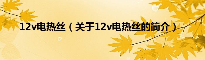 12v電熱絲（關于12v電熱絲的簡介）
