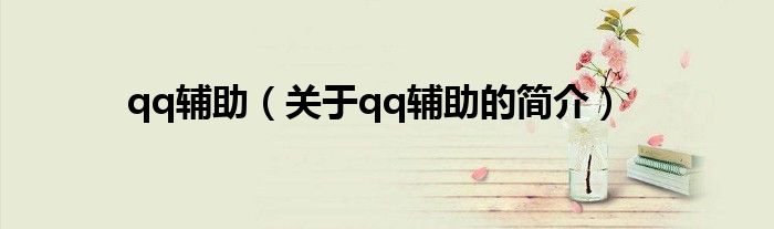 qq輔助（關于qq輔助的簡介）