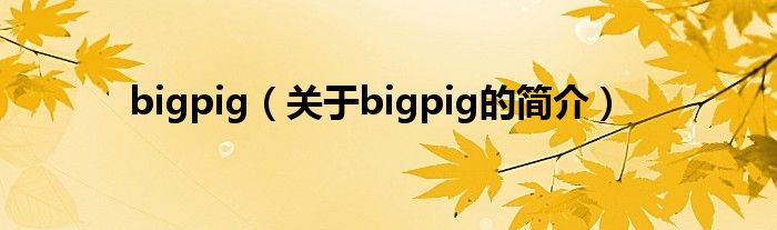 bigpig（關于bigpig的簡介）