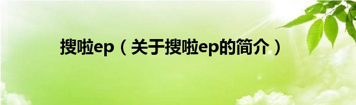 搜啦ep（關于搜啦ep的簡介）